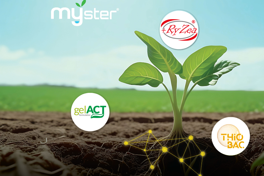 Línea Myster: para una gestión más eficaz de los recursos hídricos y nutricionales