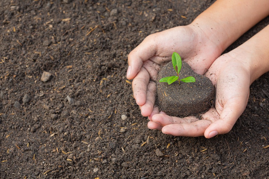 Agricoltura ecosostenibile: il futuro dell'agricoltura e l'impegno di Agriges