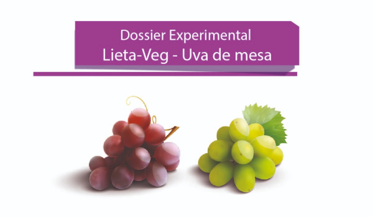 Lieta-Veg - Uva de mesa