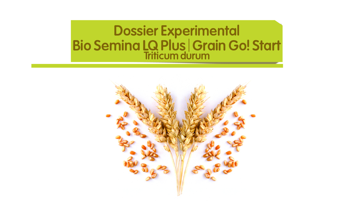 Bio-Semina LQ Plus | Grain Go! Start - Trigo duro