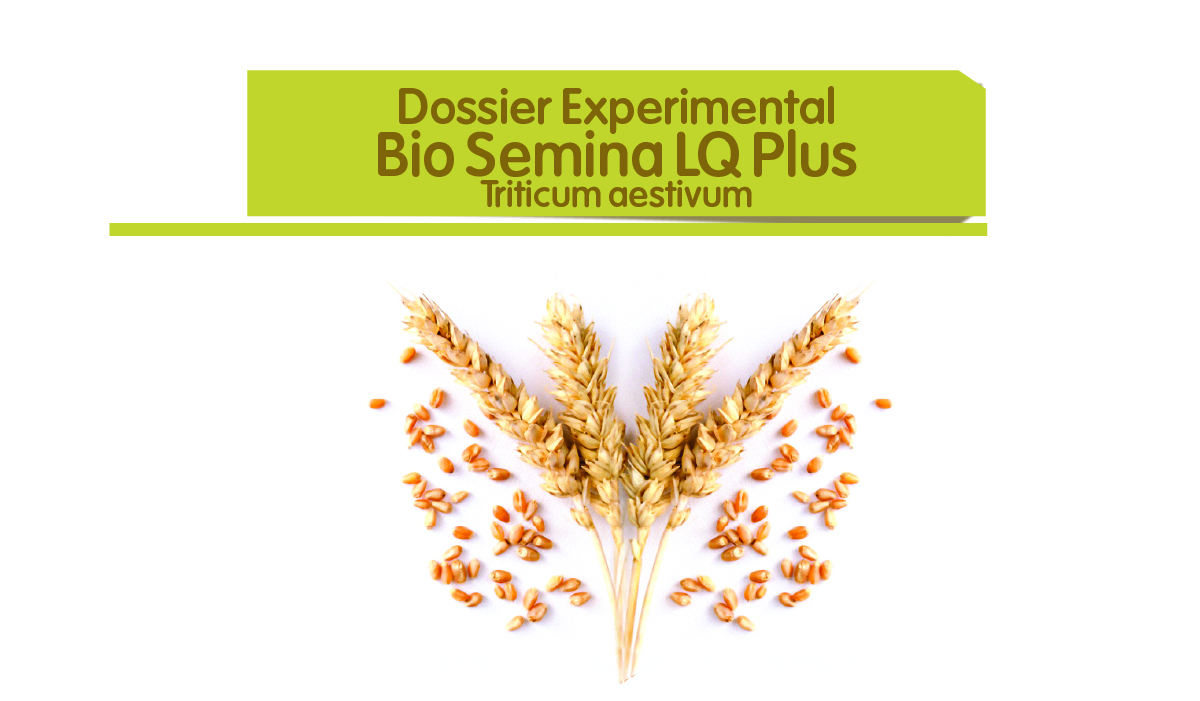 Bio-Semina LQ Plus - Trigo blando