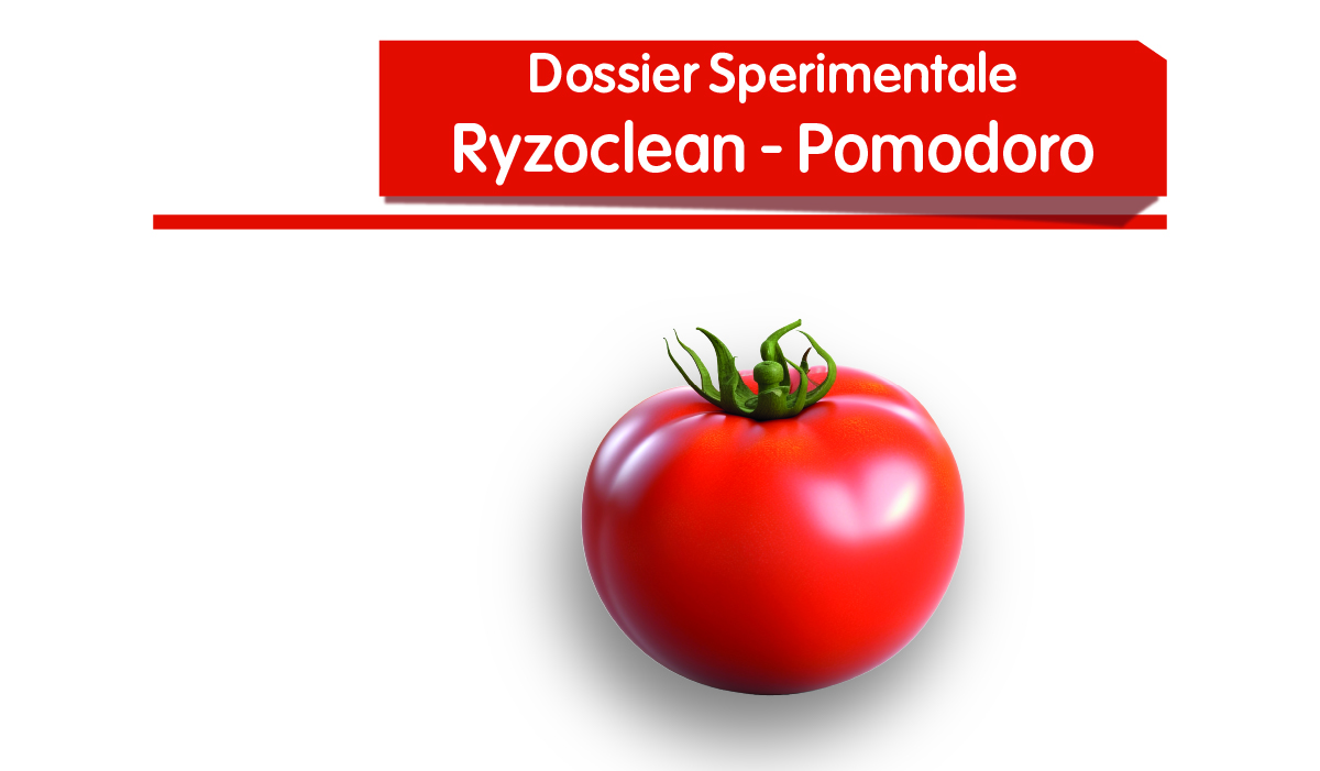 Ryzoclean - Pomodoro