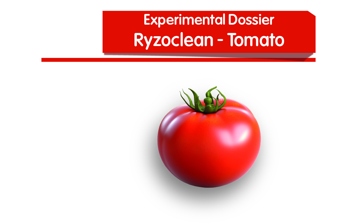 Ryzoclean - Tomato