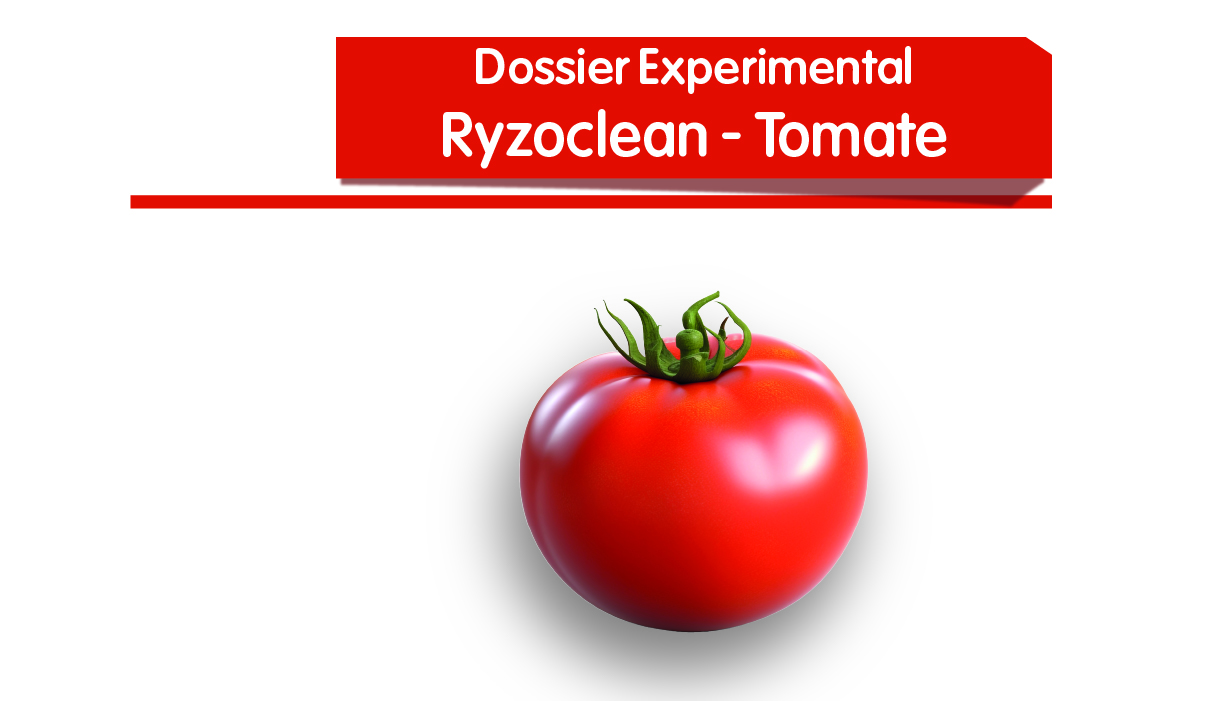 Ryzoclean - Tomate