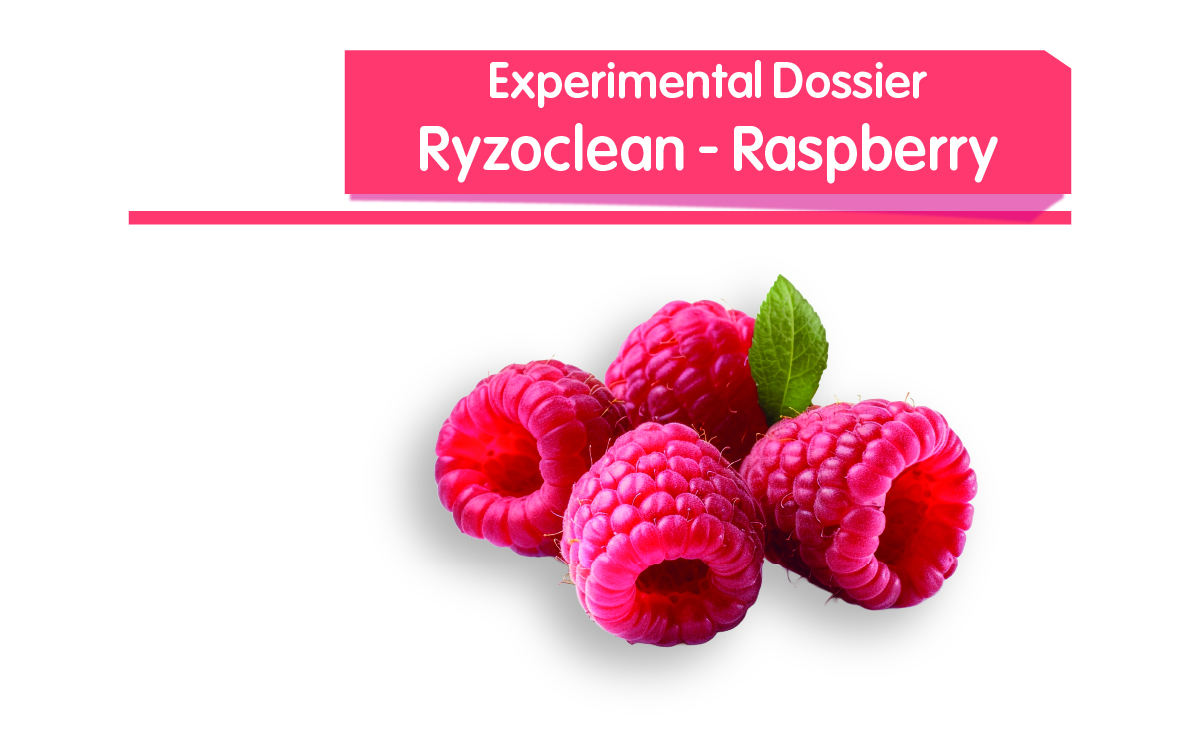 Ryzoclean - Raspberry