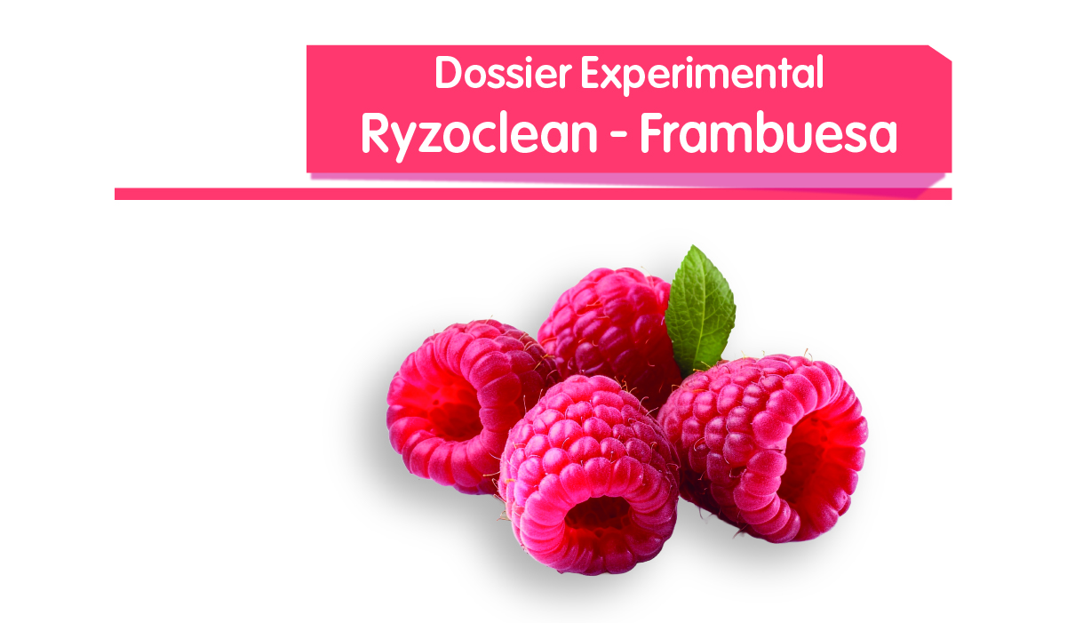 Ryzoclean - Frambuesa