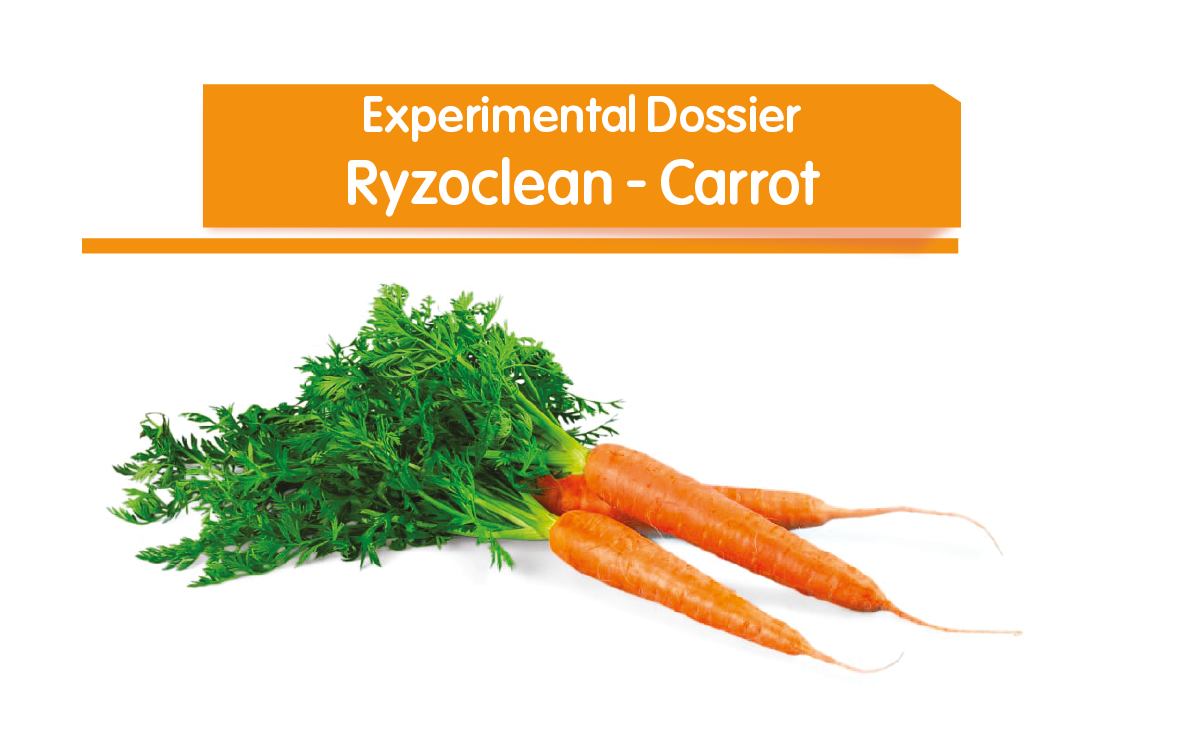 Ryzoclean - Carrot