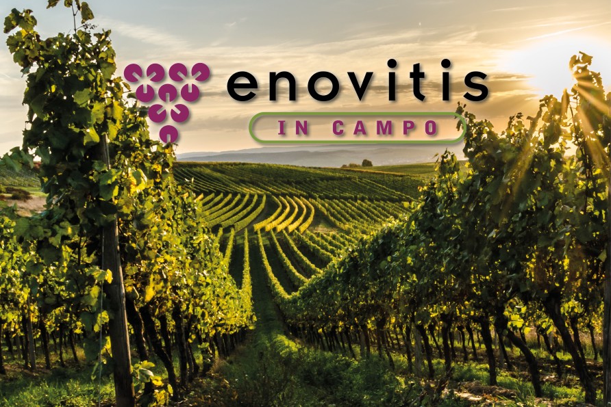 Agriges a Enovitis in Campo 2025: ti aspettiamo in Abruzzo!