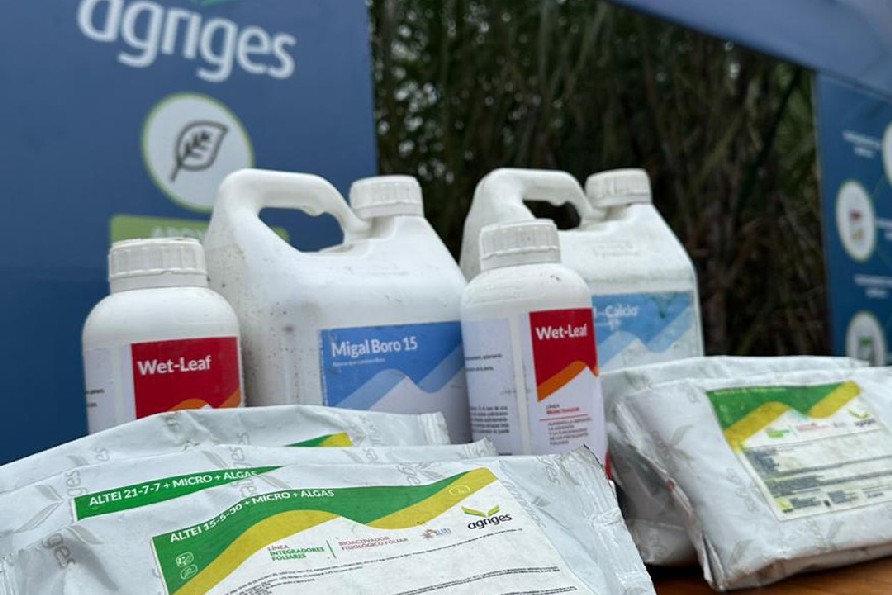 AGRIGES in Bolivia per essere presente a EXPOAGRO 2026