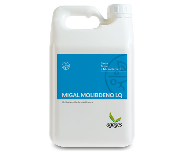 MIGAL MOLIBDENO LQ