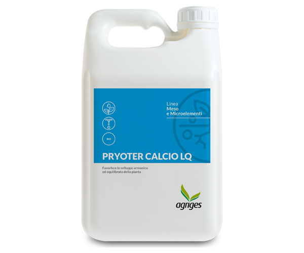 PRYOTER CALCIO LQ