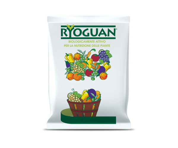 RYOGUAN STALL. AMM. SPECIALE CALCIO