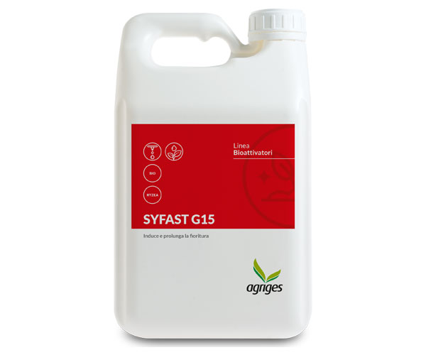 SYFAST G 15